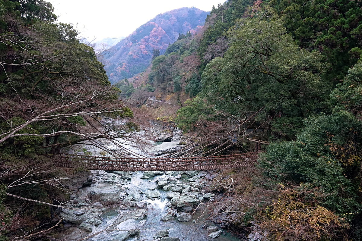 祖谷のかずら橋